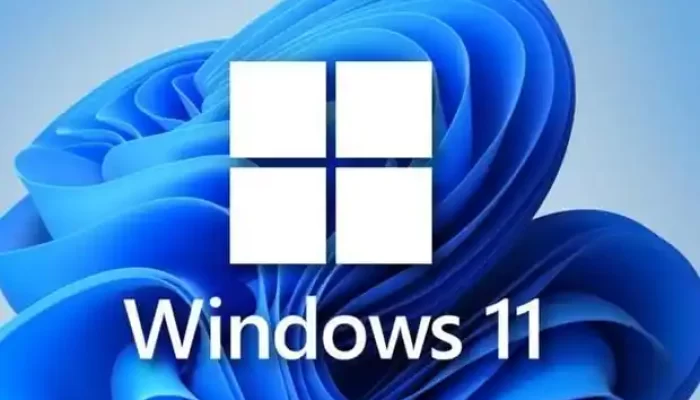 小修 Windows 11 24H2 Pro 26100.4061 轻度精简版 二合一[1.78G]缩略图