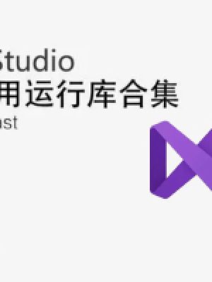 微软常用运行库合集包 v2025.05.30 可自选更新缩略图